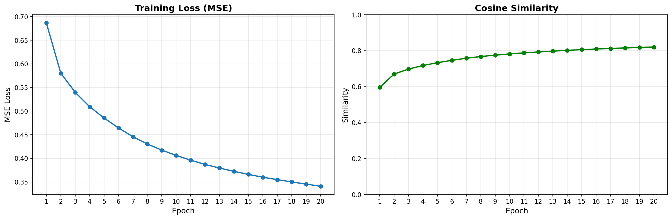 Training the MLP Adapter